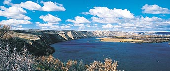overlooking the Snake River from the Hagerman Fossil Beds. photo by David N. Seelig