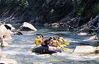 On the Day Stretch of the Salmon. photo by David N. Seelig