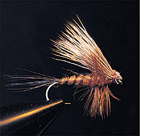 photo by Todd Kaplan  The brown drake mayfly, above, is one of the largest mayflies in the West. Its appearance on Silver Creek in early June excites eager trout and fly fishers alike. A hair wing brown drake, below, is one of many fly patterns tied to imitate the flying stage of the mayfly.