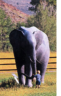 photo courtesy Peter Woytuk and the Anne Reed Gallery  Woytuks sculptures invite interaction. When two of Woytuks elephants were placed in a field along Sun Valley Road last summer, neither children nor adults could resist a close encounter with the pachyderms.