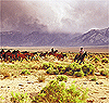 David R. Stoecklein "Lacey Horse Ranch"