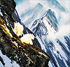 michael coleman   rocky mountain goats   24 x 44