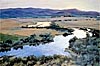 Jineen Griffith, "Silver Creek Morning," Oil, 24" x 36"