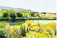 lynn toneri, silver creek summer watercolor , 15 x 22