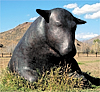 Peter Woytuk, "Bronze Bull"